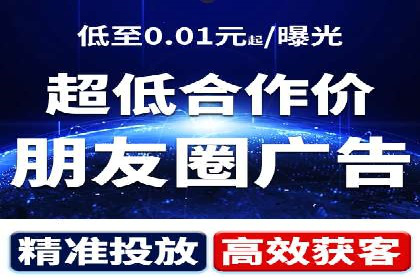 成功SEM服务案例：优化广告投放
